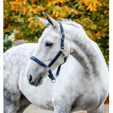 Putzhalfter fürs Pferd – Horseware | Equi-Clic Reitsport Putzhalfter fürs Pferd – Horseware | Equi-Clic Reitsport