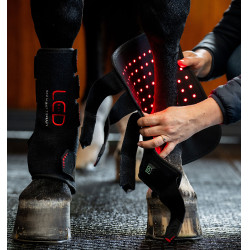 LED-Therapie Gamaschen für Pferde – Reitsport Equi-Clic LED-Therapie Gamaschen für Pferde – Reitsport Equi-Clic