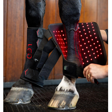 LED-Therapie Gamaschen für Pferde – Reitsport Equi-Clic LED-Therapie Gamaschen für Pferde – Reitsport Equi-Clic