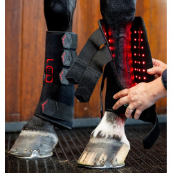 LED-Therapie Gamaschen für Pferde – Reitsport Equi-Clic LED-Therapie Gamaschen für Pferde – Reitsport Equi-Clic