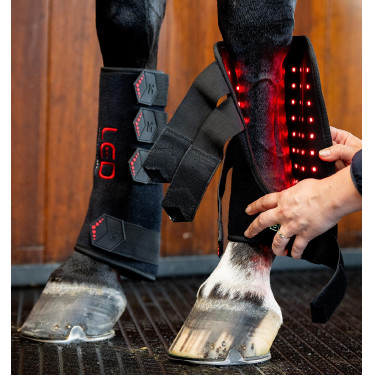 LED-Therapie Gamaschen für Pferde – Reitsport Equi-Clic LED-Therapie Gamaschen für Pferde – Reitsport Equi-Clic