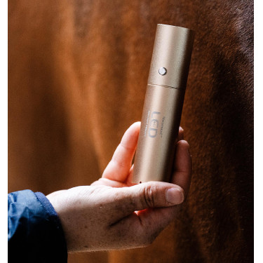 Rotlicht-Therapiestift für Pferde | Horseware LED