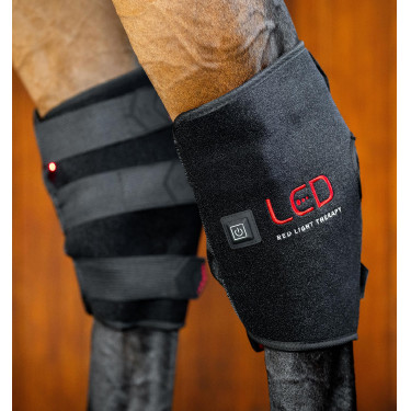 Equitation: LED Rotlicht-Gamasche fürs Sprunggelenk Pferd