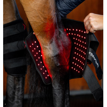 Equitation: LED Rotlicht-Gamasche fürs Sprunggelenk Pferd