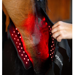 Equitation: LED Rotlicht-Gamasche fürs Sprunggelenk Pferd