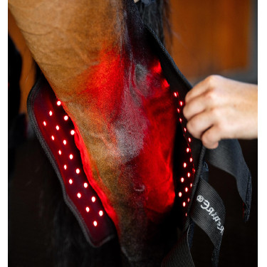 Equitation: LED Rotlicht-Gamasche fürs Sprunggelenk Pferd