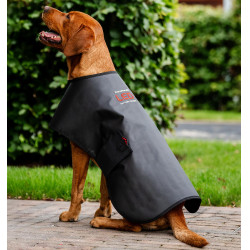 Hundetherapie-Mantel mit rotem LED-Licht – Reitsport