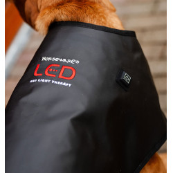 Hundetherapie-Mantel mit rotem LED-Licht – Reitsport