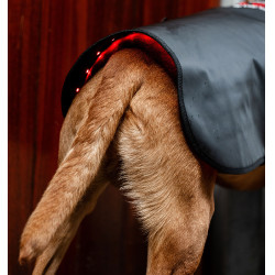 Hundetherapie-Mantel mit rotem LED-Licht – Reitsport
