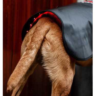 Hundetherapie-Mantel mit rotem LED-Licht – Reitsport