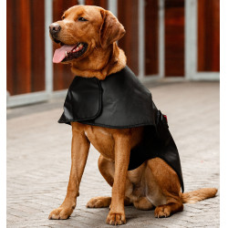 Hundetherapie-Mantel mit rotem LED-Licht – Reitsport