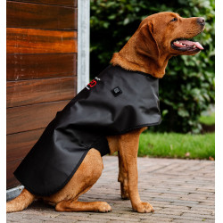 Hundetherapie-Mantel mit rotem LED-Licht – Reitsport