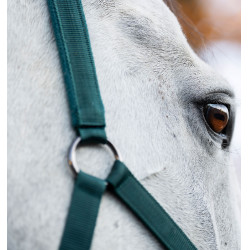 Halfter & Führstrick Set Horseware – Reitausrüstung