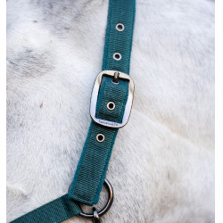 Halfter & Führstrick Set Horseware – Reitausrüstung