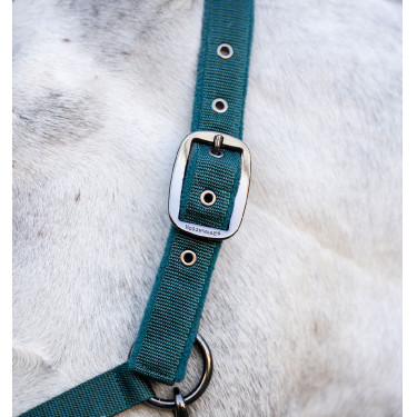 Halfter & Führstrick Set Horseware – Reitausrüstung