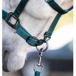 Halfter & Führstrick Set Horseware – Reitausrüstung