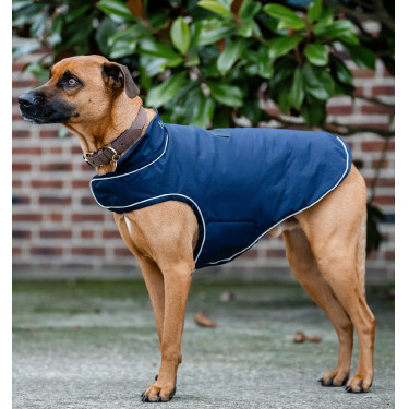 Hunderegenmantel für Reitsport | Horseware Signature 100 g
