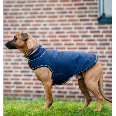 Hunderegenmantel für Reitsport | Horseware Signature 100 g