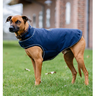 Hunderegenmantel für Reitsport | Horseware Signature 100 g