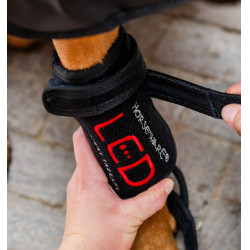 LED Rotlicht-Therapie Gamasche für Hunde – Reitsport LED Rotlicht-Therapie Gamasche für Hunde – Reitsport