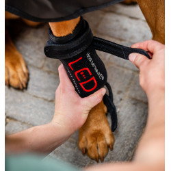 LED Rotlicht-Therapie Gamasche für Hunde – Reitsport LED Rotlicht-Therapie Gamasche für Hunde – Reitsport