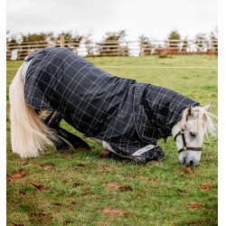 Pony-Weidedecke Set für Pferdesport | 0g + 200g Liner Pony-Weidedecke Set für Pferdesport | 0g + 200g Liner