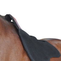 Filz-Schabracke Flags & Cup Schwarz