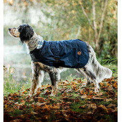 Hundemantel für Reitsport – Horseware Heritage Newmarket