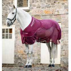 Transport-Abschwitzdecke für Pferde – Reitsport | Equi-clic