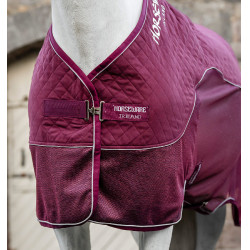Transport-Abschwitzdecke für Pferde – Reitsport | Equi-clic