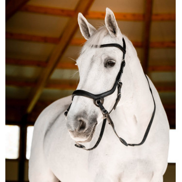 Gebisslose Reittrense Micklem aus Leder – Horseware