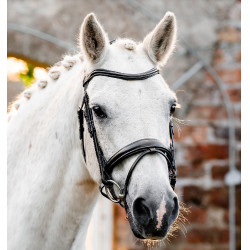 Pony-Zaumzeug fürs Reiten Horseware Flash – Leder Pony-Zaumzeug fürs Reiten Horseware Flash – Leder