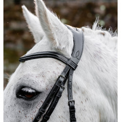 Pony-Zaumzeug fürs Reiten Horseware Flash – Leder Pony-Zaumzeug fürs Reiten Horseware Flash – Leder
