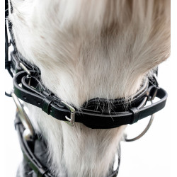 Pony-Zaumzeug fürs Reiten Horseware Flash – Leder Pony-Zaumzeug fürs Reiten Horseware Flash – Leder