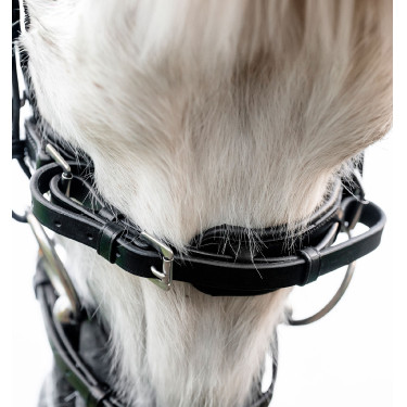 Pony-Zaumzeug fürs Reiten Horseware Flash – Leder Pony-Zaumzeug fürs Reiten Horseware Flash – Leder