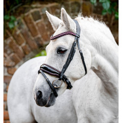 Pony-Zaum mit Lack & Strass – Horseware Flash | Reitsport