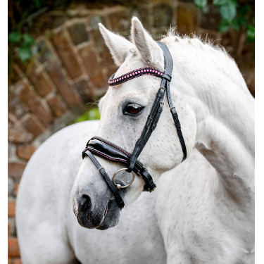 Pony-Zaum mit Lack & Strass – Horseware Flash | Reitsport