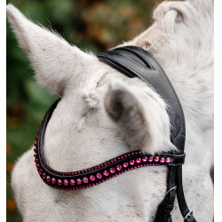 Pony-Zaum mit Lack & Strass – Horseware Flash | Reitsport