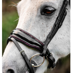 Pony-Zaum mit Lack & Strass – Horseware Flash | Reitsport