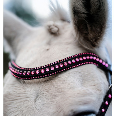 Pony-Zaum mit Lack & Strass – Horseware Flash | Reitsport