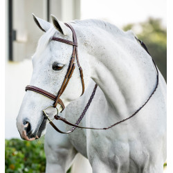 Pony-Zaumzeug Hunter mit Zügeln – Reiten, Leder Pony-Zaumzeug Hunter mit Zügeln – Reiten, Leder