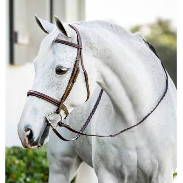 Pony-Zaumzeug Hunter mit Zügeln – Reiten, Leder Pony-Zaumzeug Hunter mit Zügeln – Reiten, Leder