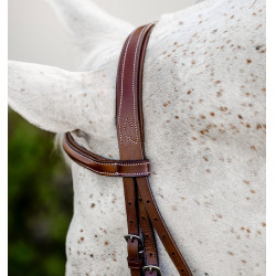 Pony-Zaumzeug Hunter mit Zügeln – Reiten, Leder Pony-Zaumzeug Hunter mit Zügeln – Reiten, Leder