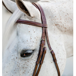 Pony-Zaumzeug Hunter mit Zügeln – Reiten, Leder Pony-Zaumzeug Hunter mit Zügeln – Reiten, Leder