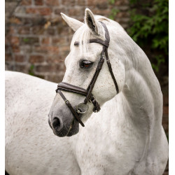 Pony Trense fürs Reiten – Horseware Cavesson