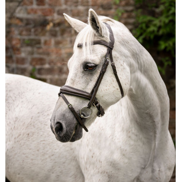 Pony Trense fürs Reiten – Horseware Cavesson