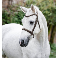 Pony-Zaumzeug Horseware Cavesson Schwarz
