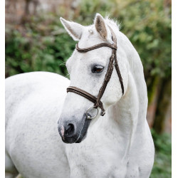 Pony Trense fürs Reiten – Horseware Cavesson