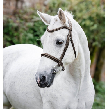 Pony Trense fürs Reiten – Horseware Cavesson