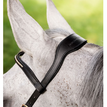 Anatomische Kandare fürs Reitsport-Turnier – Micklem Diamante Anatomische Kandare fürs Reitsport-Turnier – Micklem Diamante